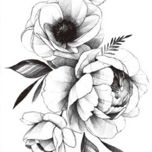 Meet your Posher, Kari